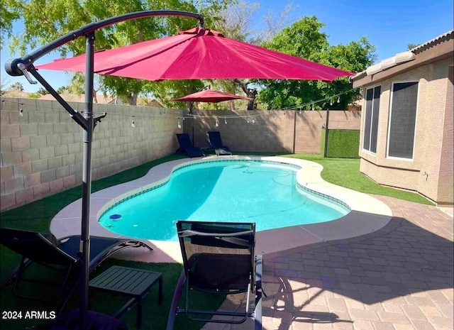 view of pool featuring a fenced in pool, a patio area, and a fenced backyard