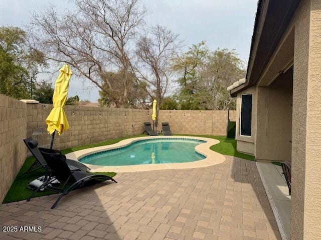 view of swimming pool featuring a patio area, a fenced backyard, and a fenced in pool