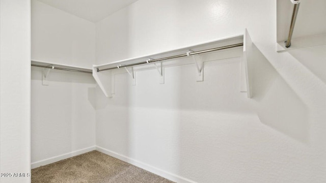 653 W Freedom St, Florence, AZ 85132 - spacious closet with carpet
