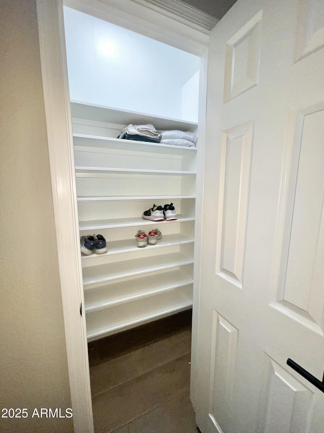 view of closet