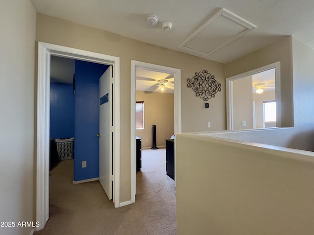 corridor with baseboards, carpet flooring, and a wealth of natural light