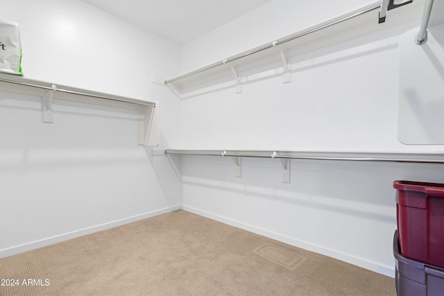 walk in closet with light colored carpet