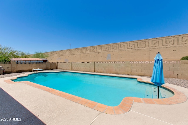 view of swimming pool featuring a patio area and a diving board