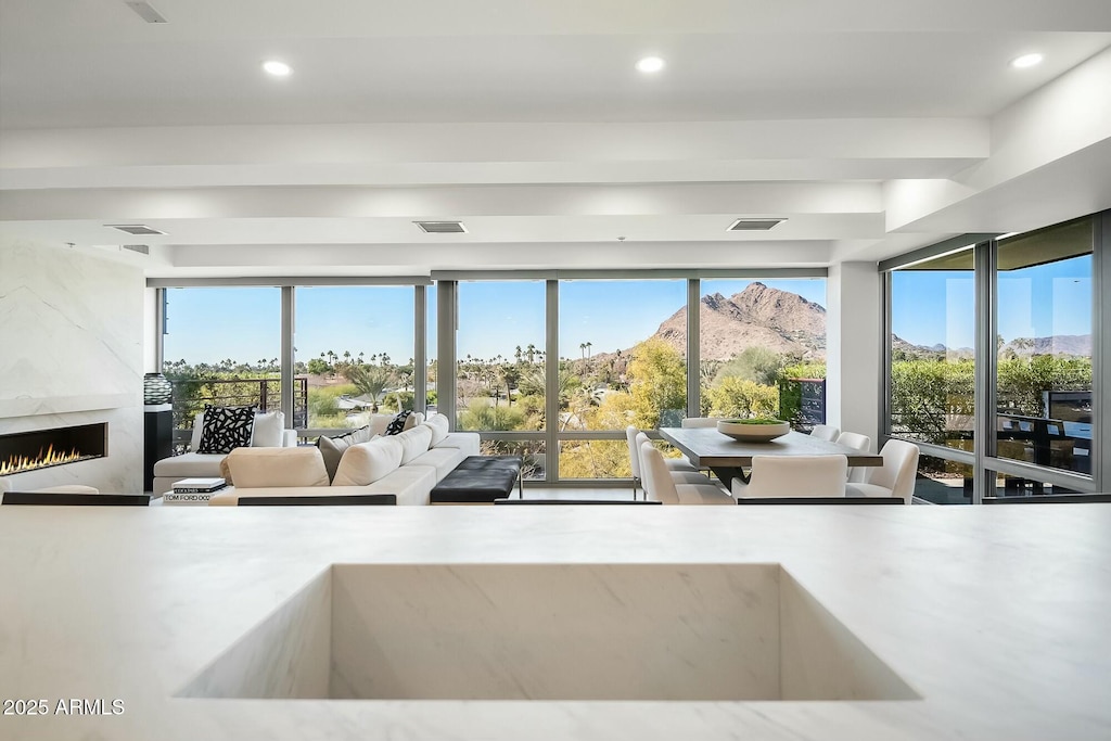 living room featuring a mountain view and a premium fireplace