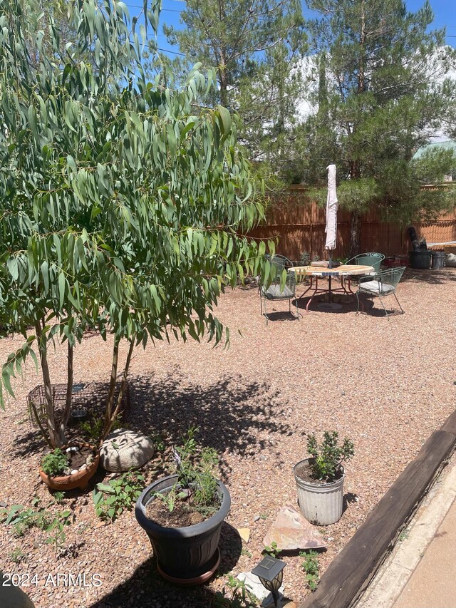 view of yard featuring a patio area