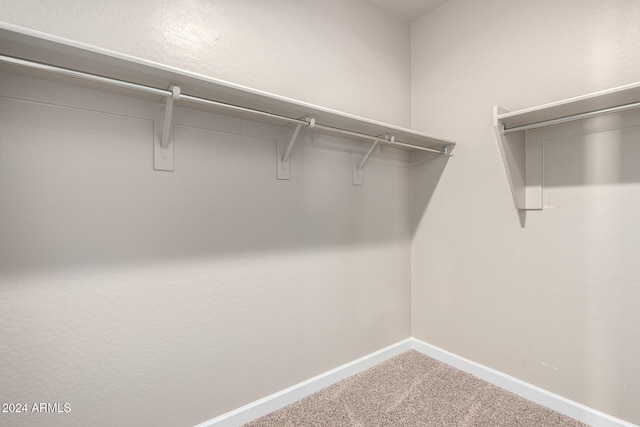 spacious closet featuring carpet floors