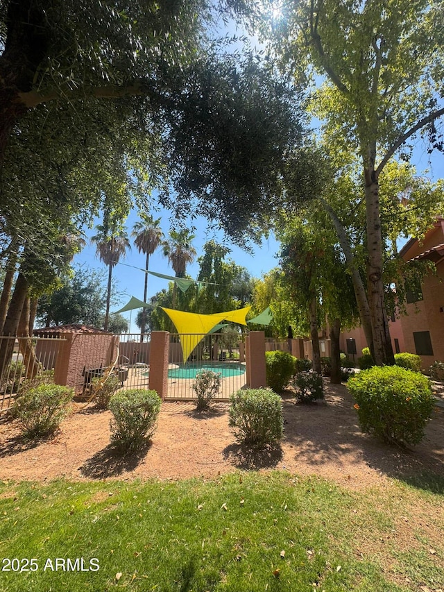 1075 E Chandler Blvd Unit 220, Chandler, AZ 85225 - view of yard