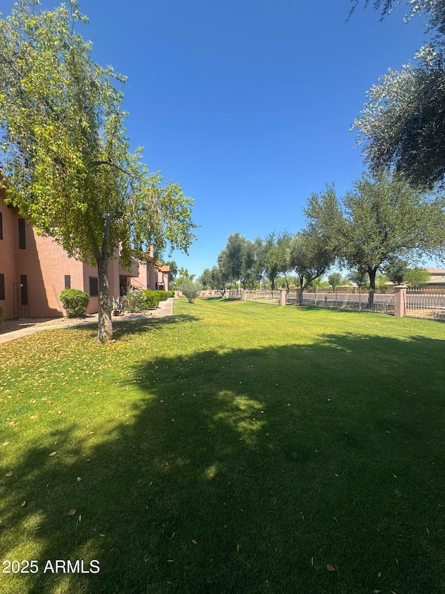 1075 E Chandler Blvd Unit 220, Chandler, AZ 85225 - view of yard