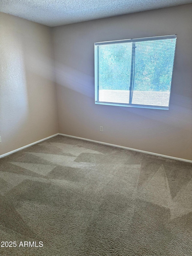 1075 E Chandler Blvd Unit 220, Chandler, AZ 85225 - spare room with carpet flooring, baseboards, and a textured ceiling