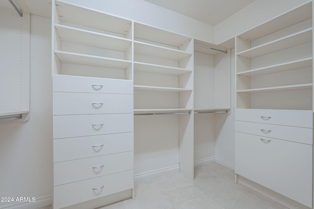 view of spacious closet