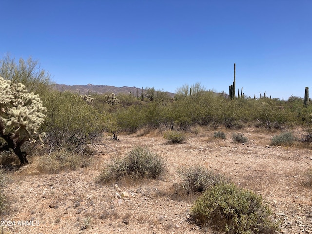 Listing photo 3 for 0 E Gasline Rd Unit 6A, Marana AZ 85653