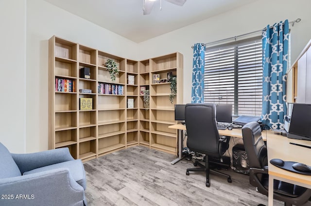 home office featuring ceiling fan and wood-type flooring