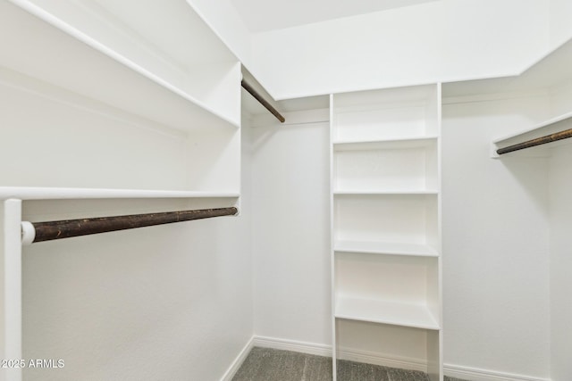 spacious closet with carpet