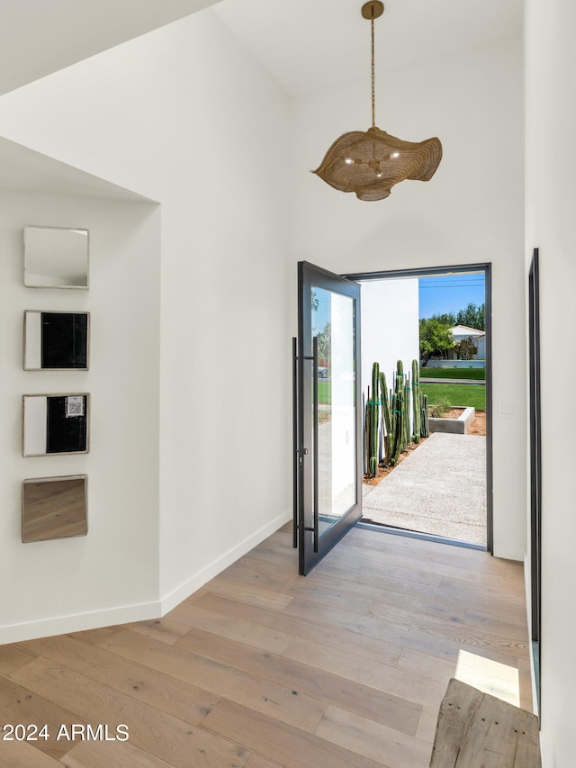 entrance foyer featuring a high ceiling and light wood-type flooring