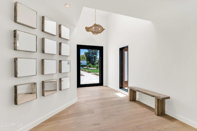 foyer featuring a towering ceiling and light wood-type flooring