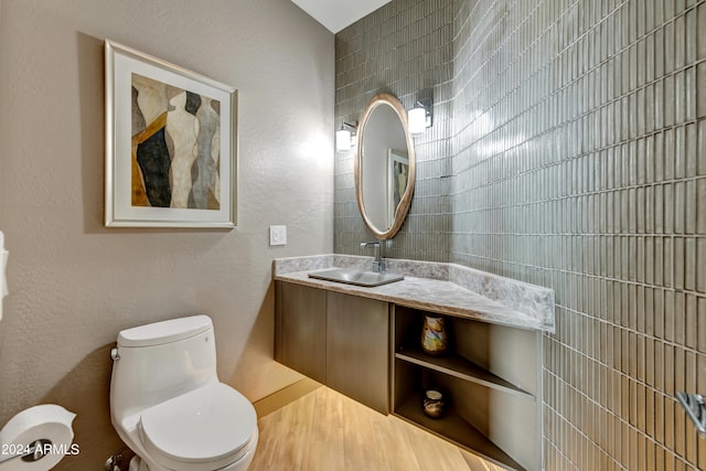 bathroom with toilet and vanity