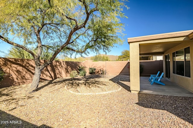 view of yard featuring a patio area