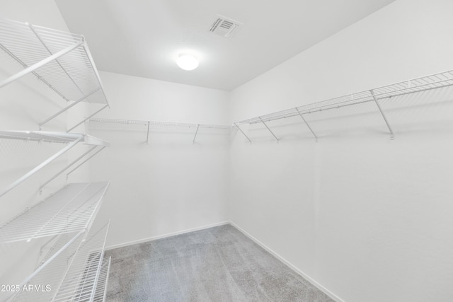 1821 E Patrick Ln, Phoenix, AZ 85024 - spacious closet featuring carpet flooring