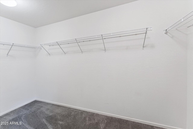 1821 E Patrick Ln, Phoenix, AZ 85024 - walk in closet featuring dark colored carpet