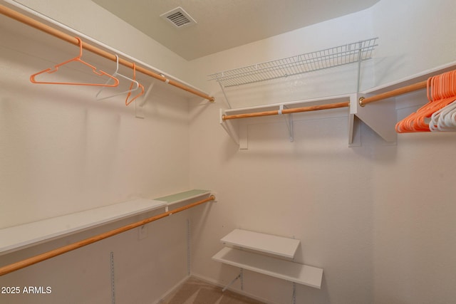 3665 E Thames Way, San Tan Valley, AZ 85140 - view of walk in closet