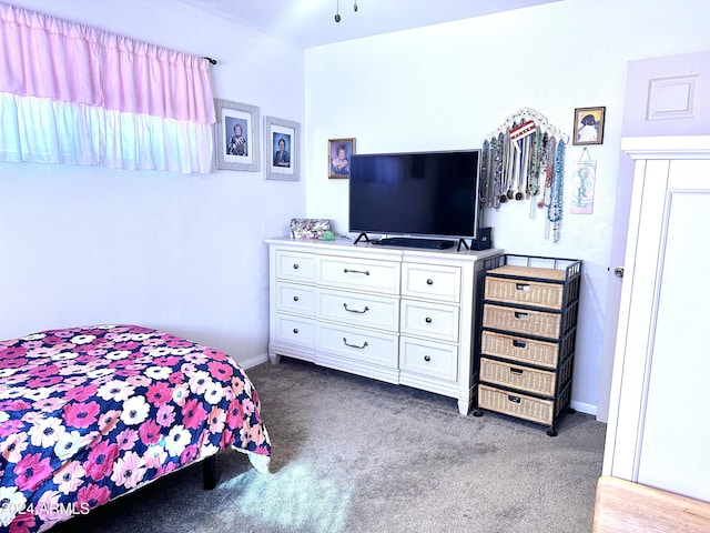 bedroom with carpet