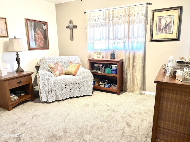 sitting room featuring carpet flooring