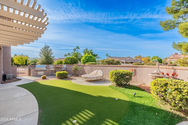 view of yard with exterior kitchen and a patio