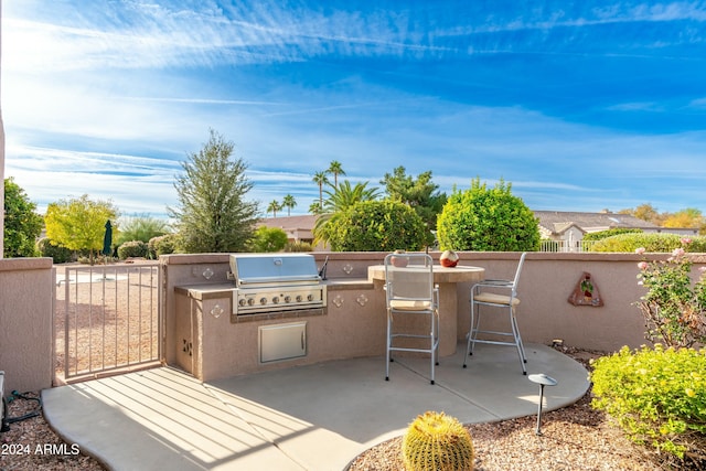 view of patio / terrace with exterior kitchen and grilling area