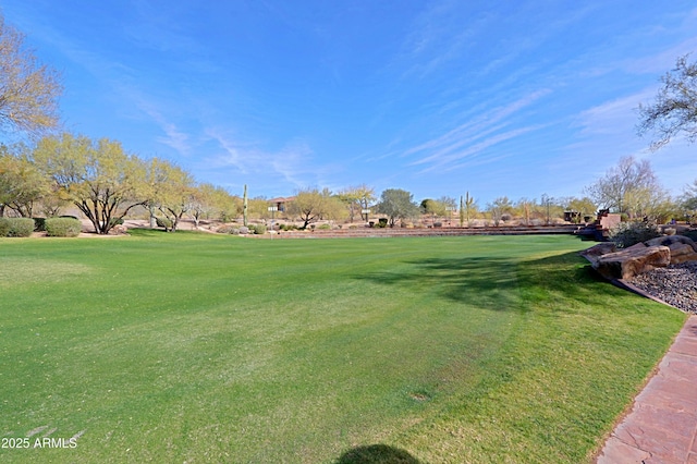 view of home's community featuring a yard