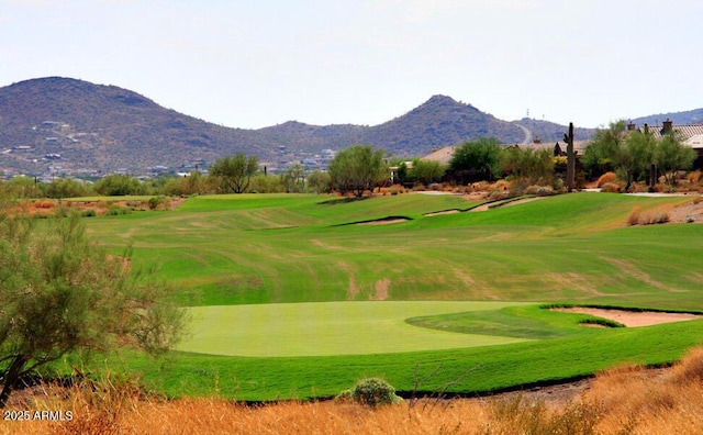 view of community with a mountain view and a yard