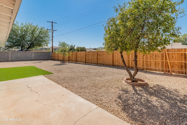 view of yard featuring a patio area