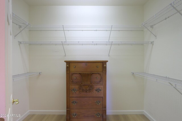 spacious closet featuring light wood finished floors