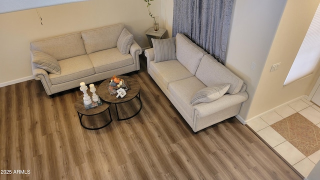 living room featuring wood-type flooring