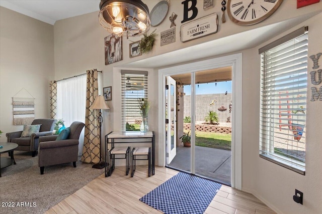 entryway featuring light hardwood / wood-style floors and a wealth of natural light