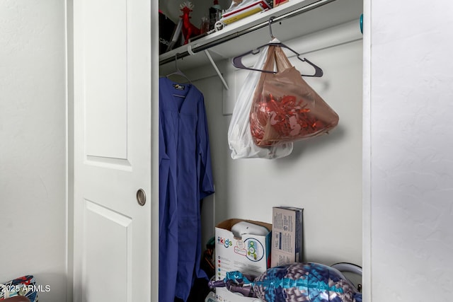 view of closet