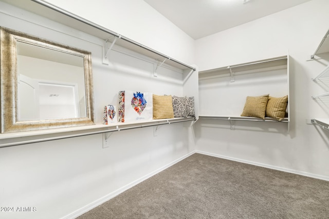 walk in closet featuring carpet flooring