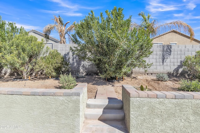 view of yard with a fenced backyard