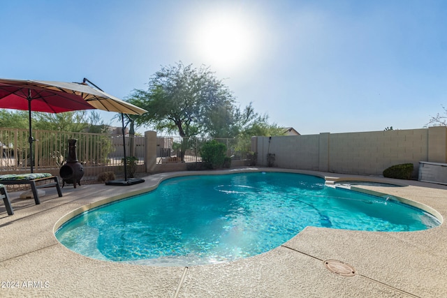 view of pool featuring a patio