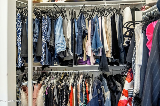 view of walk in closet