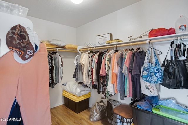 walk in closet with light wood-type flooring