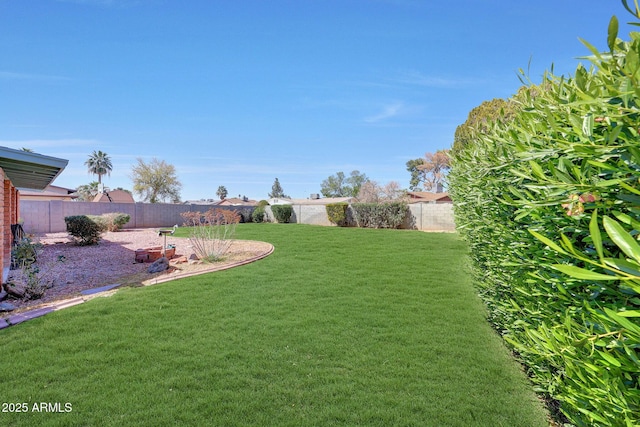 view of yard