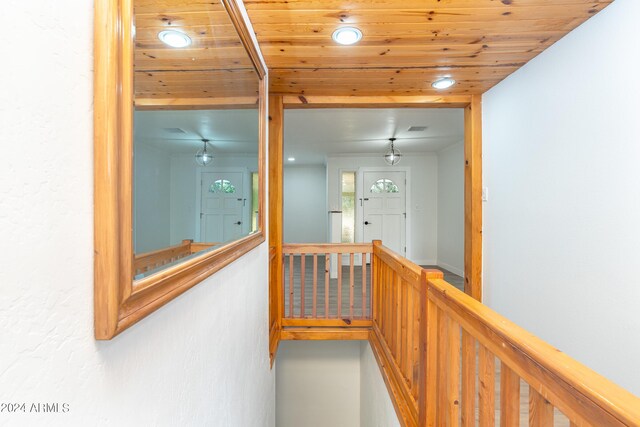 walk in closet featuring wood-type flooring