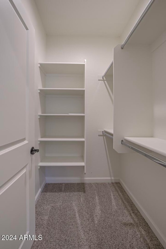 walk in closet with carpet flooring