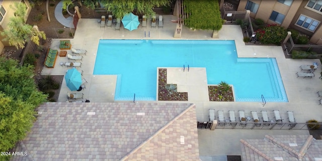 view of swimming pool with a patio area