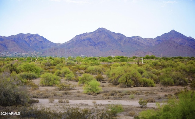 view of mountain feature