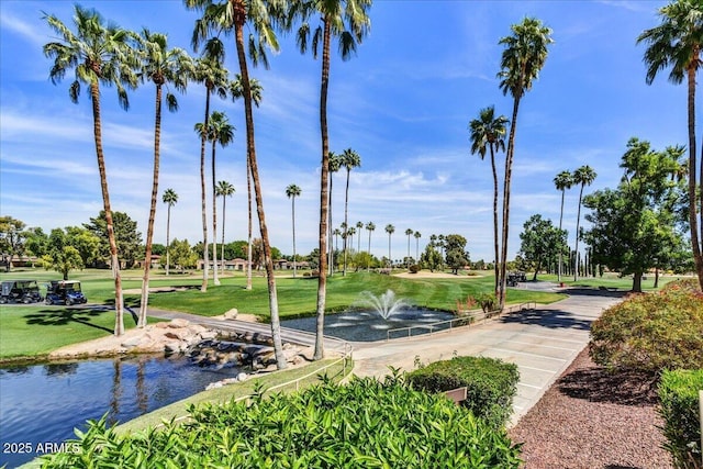view of property's community featuring a yard