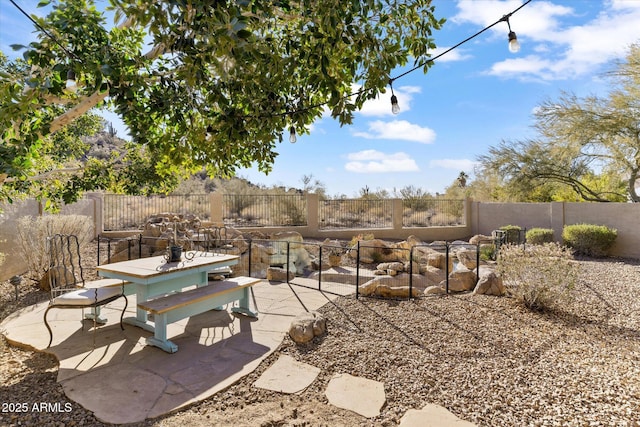 view of yard with a patio area