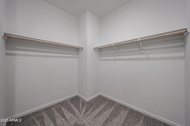 19115 N Los Gabrieles Way, Maricopa, AZ 85138 - spacious closet with carpet