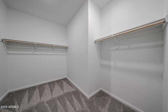 19115 N Los Gabrieles Way, Maricopa, AZ 85138 - spacious closet featuring carpet flooring