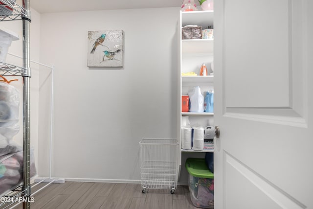 spacious closet featuring light wood-type flooring